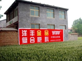 宣汉如何让墙体广告展现最大化效果