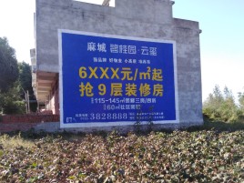 宣汉品牌公司青睐的墙体广告