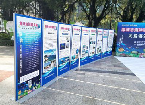 宣汉KT板的种类和知识。